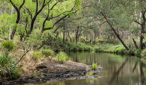 Koreelah Creek Campground - Accommodation Gold Coast 1