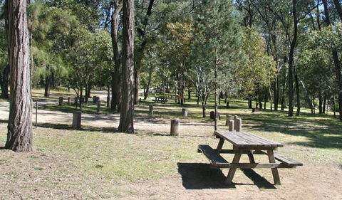 Lemon Tree Flat Campground - Accommodation Gold Coast 0