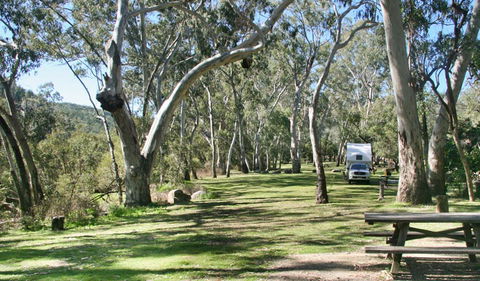 Lemon Tree Flat Campground - Accommodation Gold Coast 2