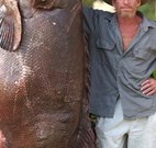 Michael's Clarence Valley Retreat - Accommodation Gold Coast