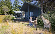 Murramarang Beachfront Nature Resort - Accommodation Gold Coast 10