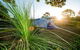 North Coast Holiday Parks Lennox Head - thumb 1