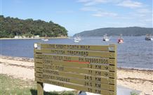 Patonga Camping Area - Gold Coast 4U 3