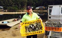 Patonga Camping Area - Gold Coast 4U 2