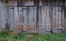 Pillar Rock Farm - Gold Coast 4U 2