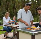 Port Stephens Treescape - Gold Coast 4U