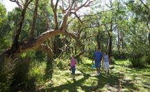 Port Stephens Treescape - Accommodation Gold Coast 4