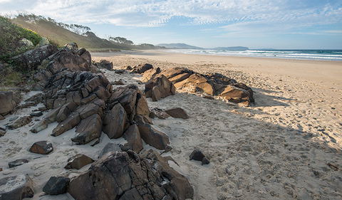 Racecourse Campground - Accommodation Gold Coast 1