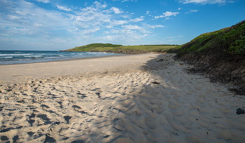 Racecourse Campground - Accommodation Gold Coast 2