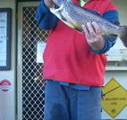 Rainbow Pines Tourist Caravan Park - Accommodation Gold Coast