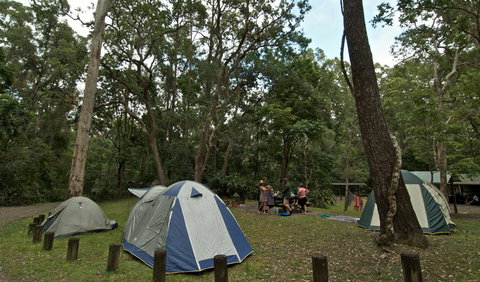 Sheepstation Creek Campground - Accommodation Gold Coast 2