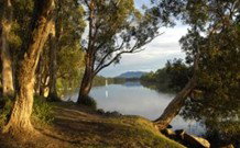 South West Rocks Tourist Park - South - Accommodation Gold Coast 0