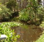 Tallowood Ridge B and B - Gold Coast 4U