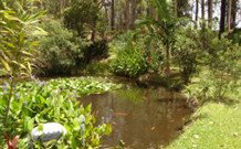 Tallowood Ridge B And B - Accommodation Gold Coast 0