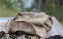 The Escape Luxury Camping - Accommodation Gold Coast 1