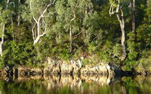 The Escape Luxury Camping - Accommodation Gold Coast 5