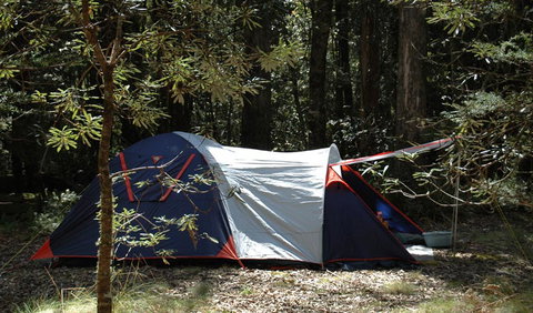 Thungutti Campground - Accommodation Gold Coast 0