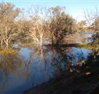 Warrawong on the Darling - Accommodation Gold Coast