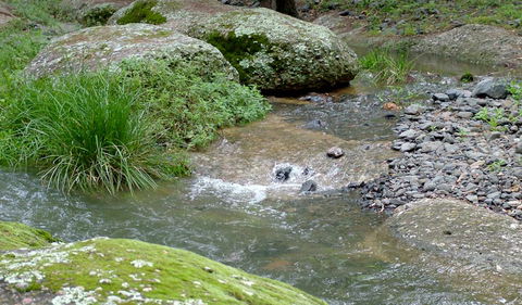 Washpools Campground - Accommodation Gold Coast 2