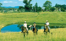 Wave Hill Station Farmstay Clarence River Gorge - Fine - Accommodation Gold Coast 3