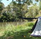 Williams River Holiday Park - Accommodation Gold Coast