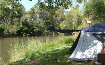 Williams River Holiday Park - Accommodation Gold Coast 0