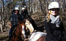 JE Resort (Jindabyne Equestrian Resort) - Accommodation Gold Coast 1