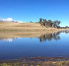 Bombala Maneroo Motel - Bombala - Gold Coast 4U