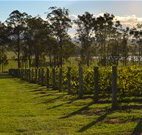 H Boutique Hotel - Pokolbin - Accommodation Gold Coast