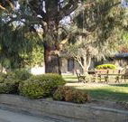 Hamilton Hume Motor Inn - Yass - Accommodation Gold Coast