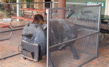 Lightning Ridge Outback Resort And Caravan Park - Lightning Ridge - 1 Gold Coast 7