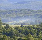 Nowendoc Country Motel - Nowendoc - Accommodation Gold Coast