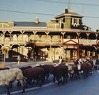 The Commercial Hotel Coonamble - Coonamble - Accommodation Gold Coast