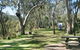 Lemon Tree Flat Campground - thumb 3