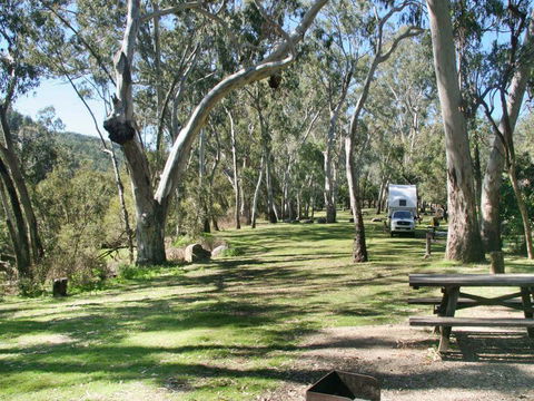 Lemon Tree Flat Campground - Accommodation Gold Coast 3