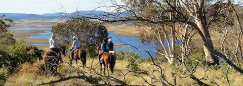 Reynella Homestead And Horseback Rides - Accommodation Gold Coast 3