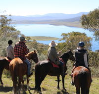 Reynella Homestead and Horseback Rides - Accommodation Gold Coast