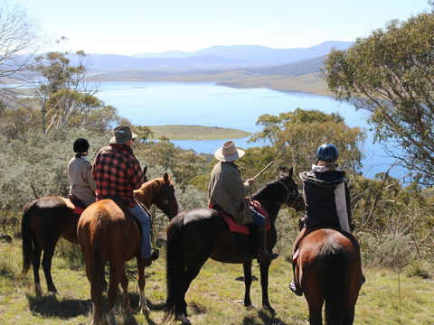 Reynella Homestead And Horseback Rides - Accommodation Gold Coast 0