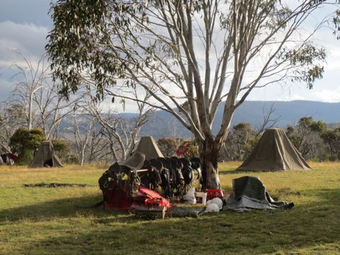 Reynella Homestead And Horseback Rides - Accommodation Gold Coast 5