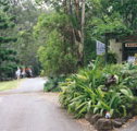 Tamborine Mountain Caravan  Camping - Accommodation Gold Coast