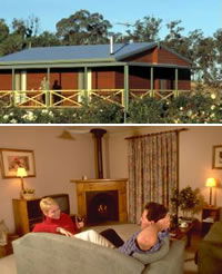 Twin Trees Country Cottages - Accommodation Gold Coast 0