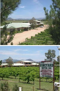 Mudgee Vineyard Motor Inn - Accommodation Gold Coast 0