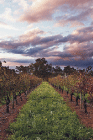 Millendon WA Accommodation Gold Coast