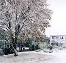 Maneroo Motel - Gold Coast 4U
