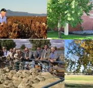 Southern Cross Motor Inn - Accommodation Gold Coast