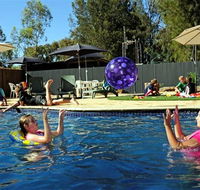 Kingston On Murray Caravan Park - Accommodation Gold Coast