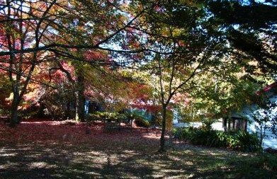 Kubba Roonga Blackheath - Accommodation Gold Coast 4