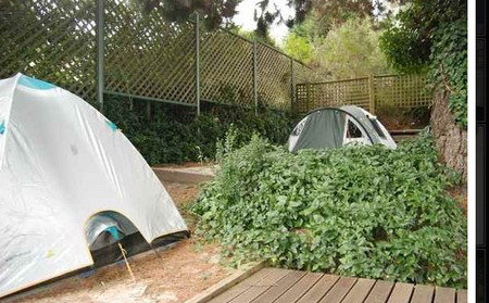 The Flying Fox Backpackers - Accommodation Gold Coast 2