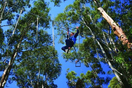 Cedar Creek Lodges - Accommodation Gold Coast 3
