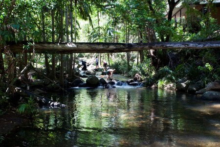 Cedar Creek Lodges - Accommodation Gold Coast 5